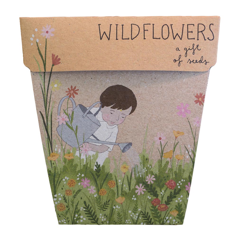 Sow ‘n Sow: Wildflowers Gift Of Seeds