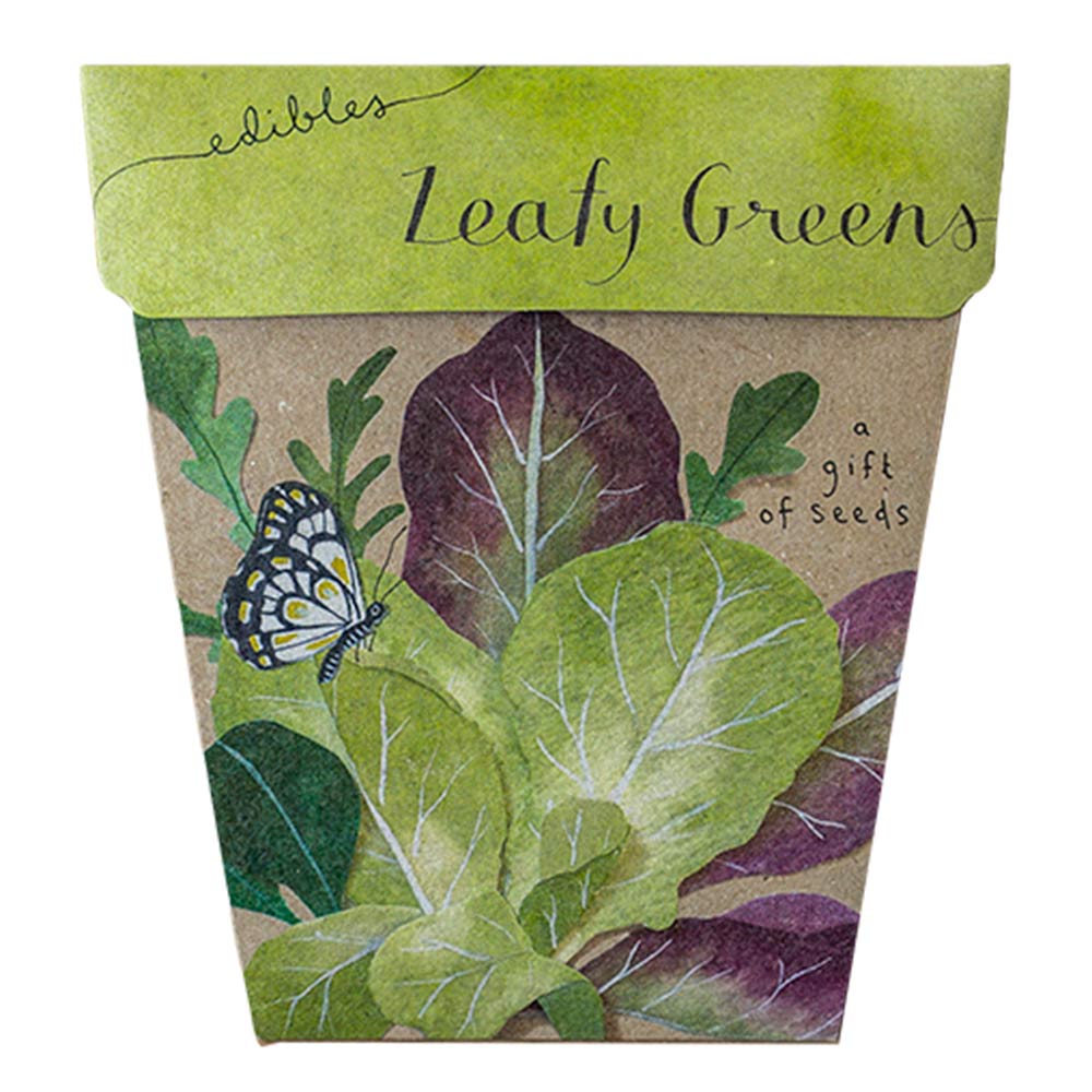Sow ‘n Sow: Leafy Greens Gift Of Seeds