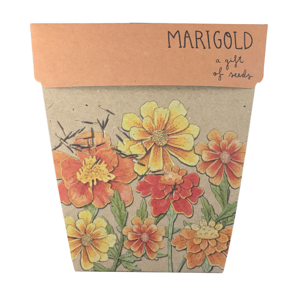 Sow ‘n Sow: Marigolds Gift Of Seeds