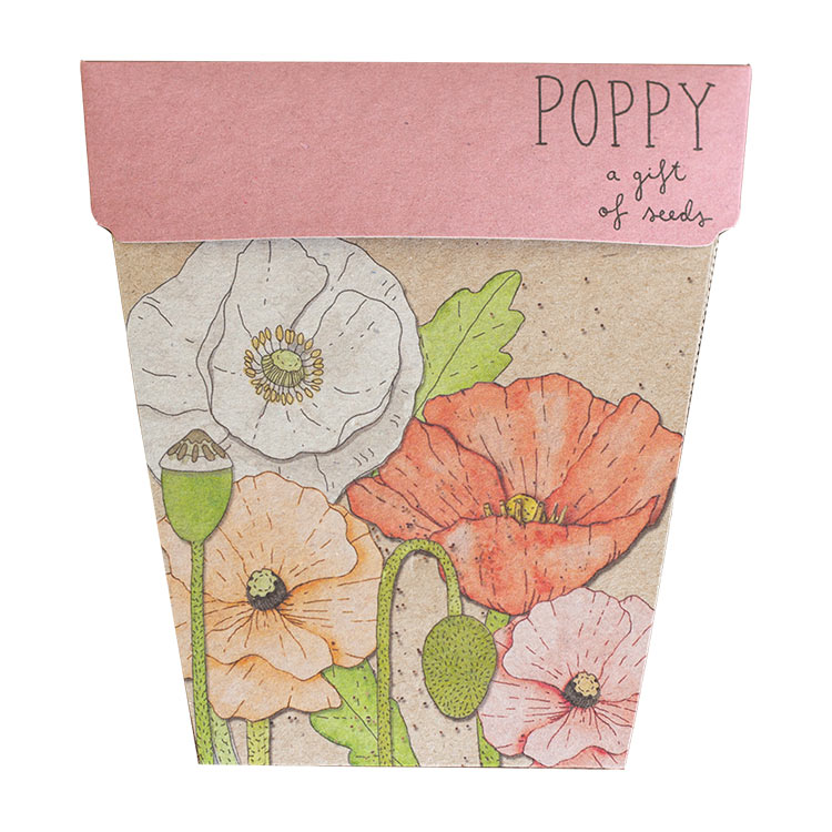 Sow ‘n Sow: Poppy Gift of Seeds