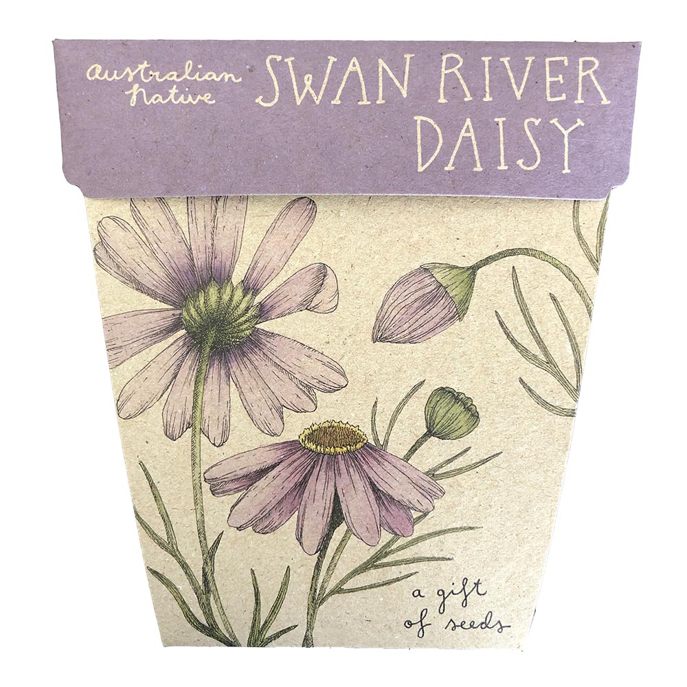 Sow ‘n Sow: Swan River Daisy Gift of Seeds