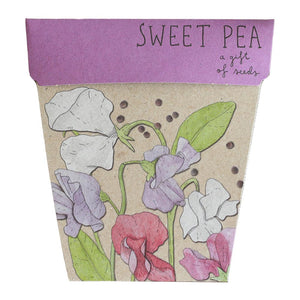 Sow ‘n Sow: Sweet Pea Gift of Seeds