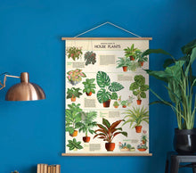 Load image into Gallery viewer, House plants vintage wall chart
