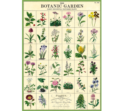 Botanic Garden Vintage Wall Chart