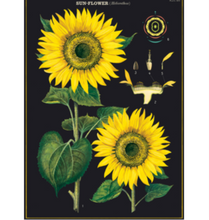 Load image into Gallery viewer, Sunflowers Vintage Wall Chart
