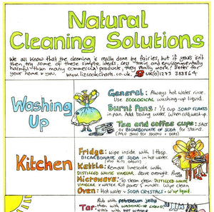 Liz Cook Chart Natural Cleaning